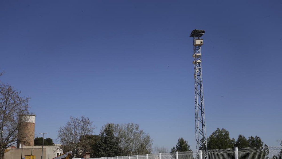 La Paeria instal·la una torre amb nius artificials a Gardeny