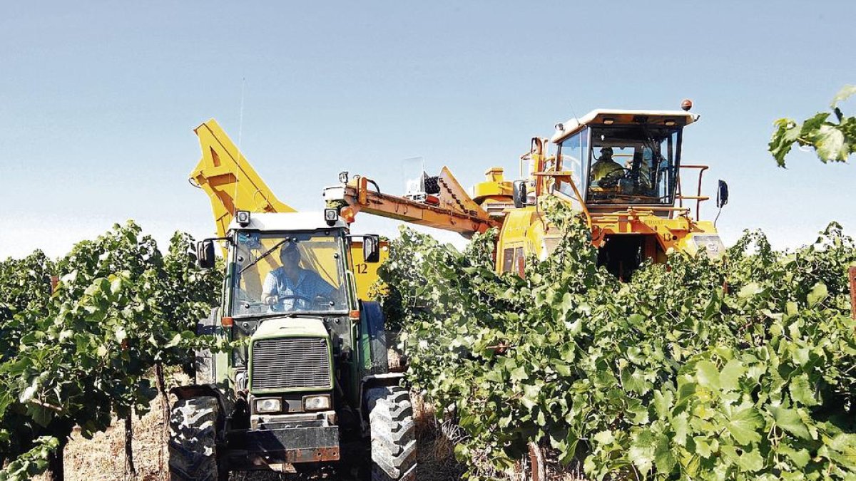 Codorniu redueix de 93 a 71 els treballadors afectats per l'ERO