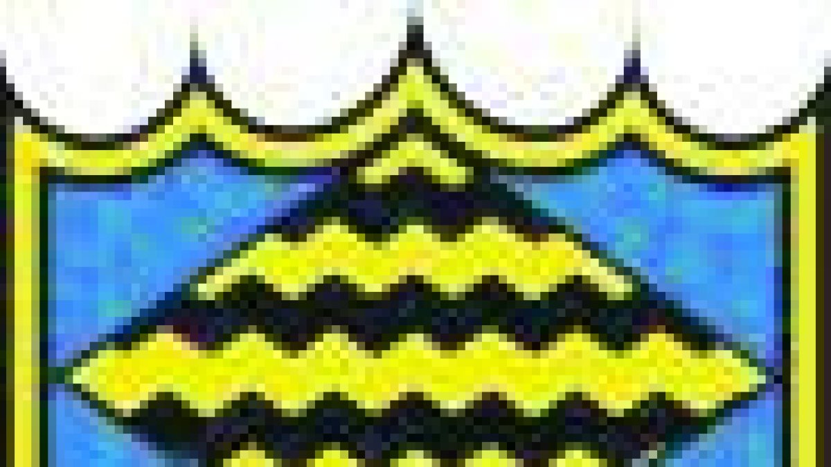 L’Angulària ha fet un salt de nivell, ja que s’ha reforçat amb jugadors procedents d’altres equips de la categoria.