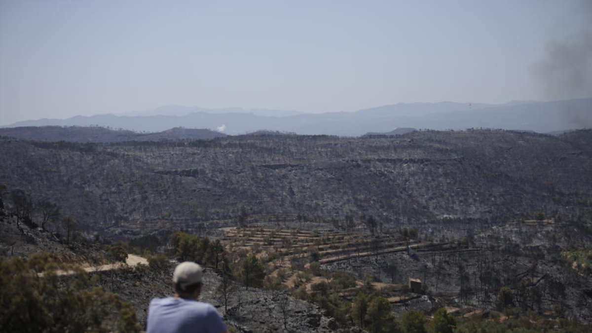 Un vecino de Llardecans contemplando las consecuencias del gran incendio de Ribera d’Ebre y Ponent.