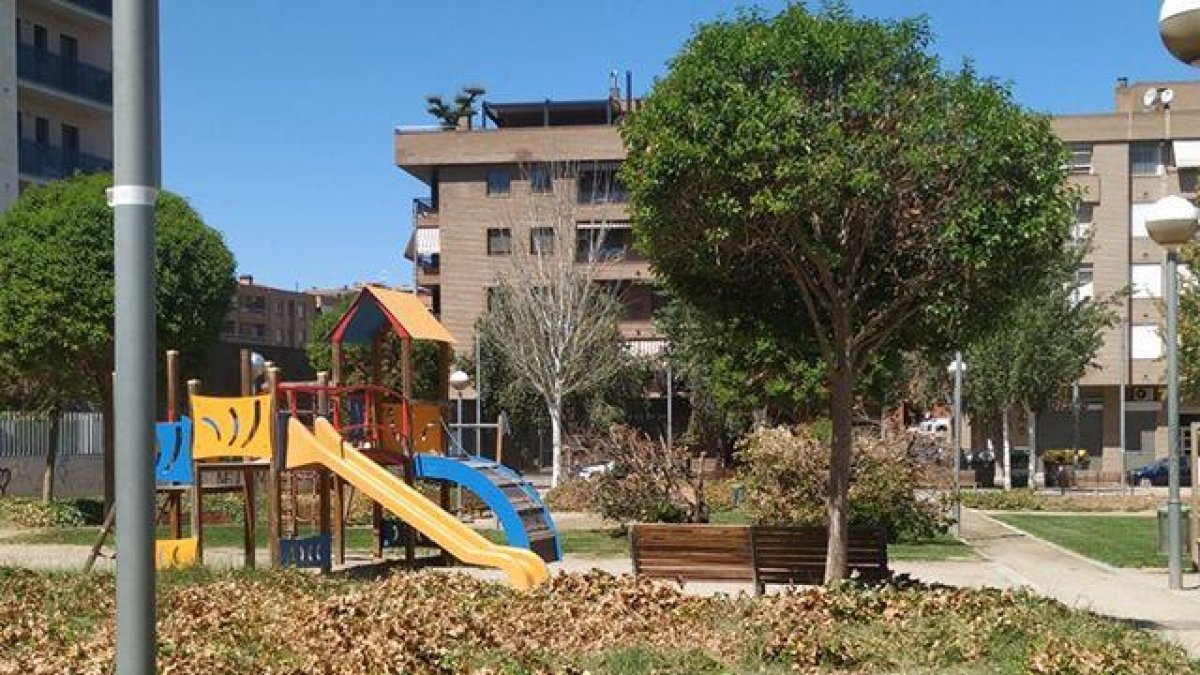 Imagen de la vegetación seca en la plaza Clara de Campoamor.