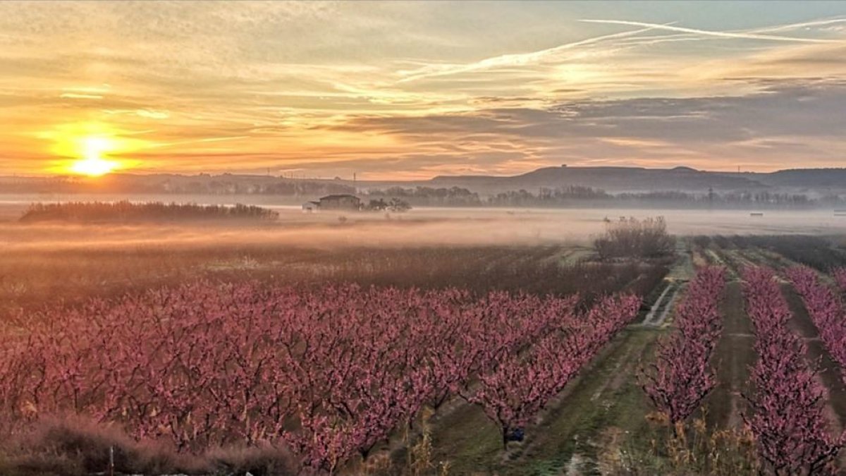 L'hivern dòna pas a la primavera