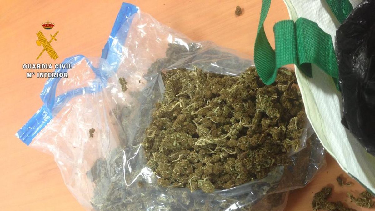 Imagen de la marihuana que había dentro del coche.