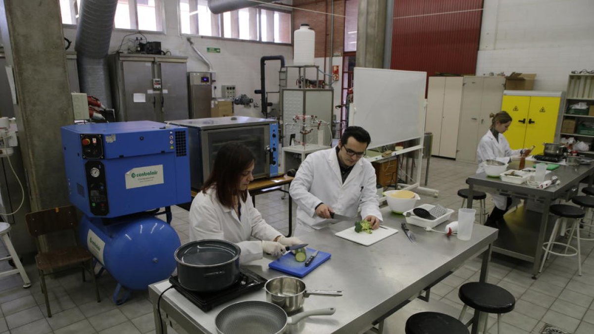 Imatge d’arxiu d’investigadors al laboratori de Tecnologia dels Aliments d’Agrònoms.