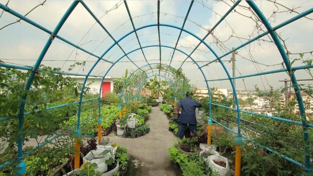 ‘Per les teulades’ de Bangkok