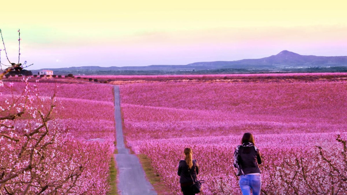 La iniciativa Fruitturisme, d'Aitona, porta a Lleida 18.000 visitants