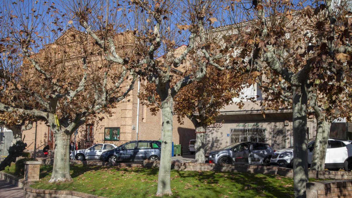 Imatge actual d’arbres i fulls a la plaça de Ramon Folch.