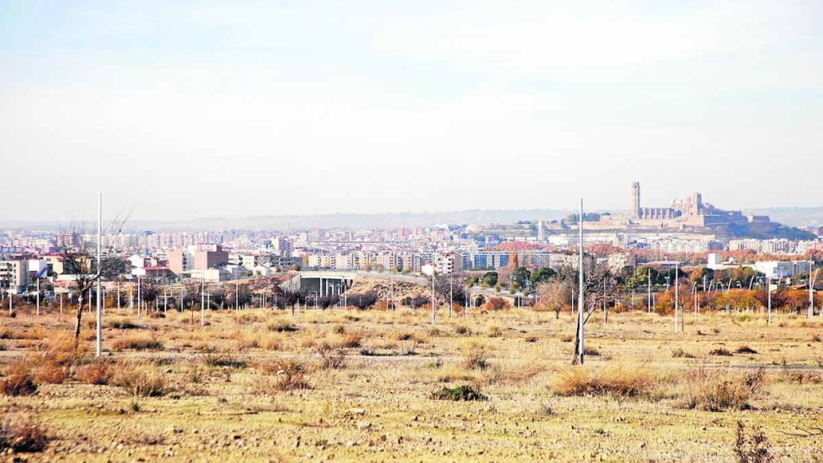 Vista parte de los terrenos del parque comercial de Torre Salses, entre Magraners y La Bordeta.