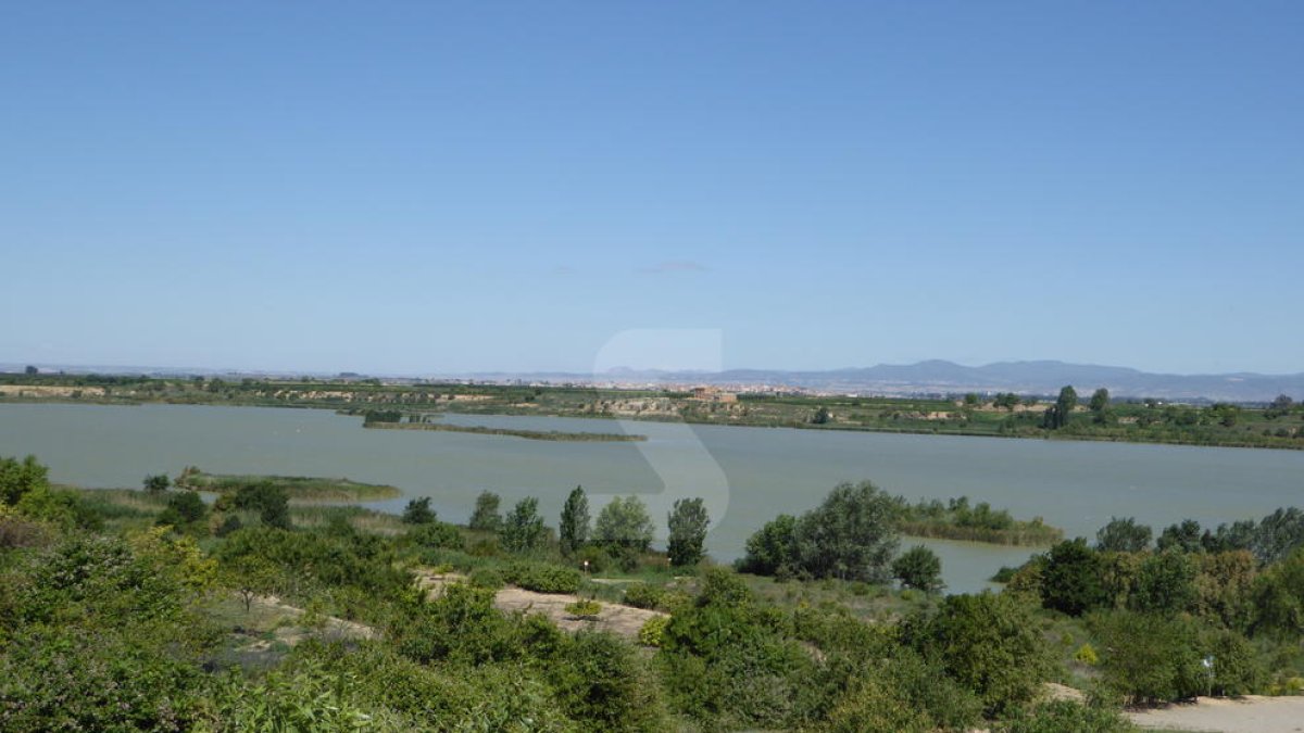 Imatge d'arxiu de l'Estant d'Ivars