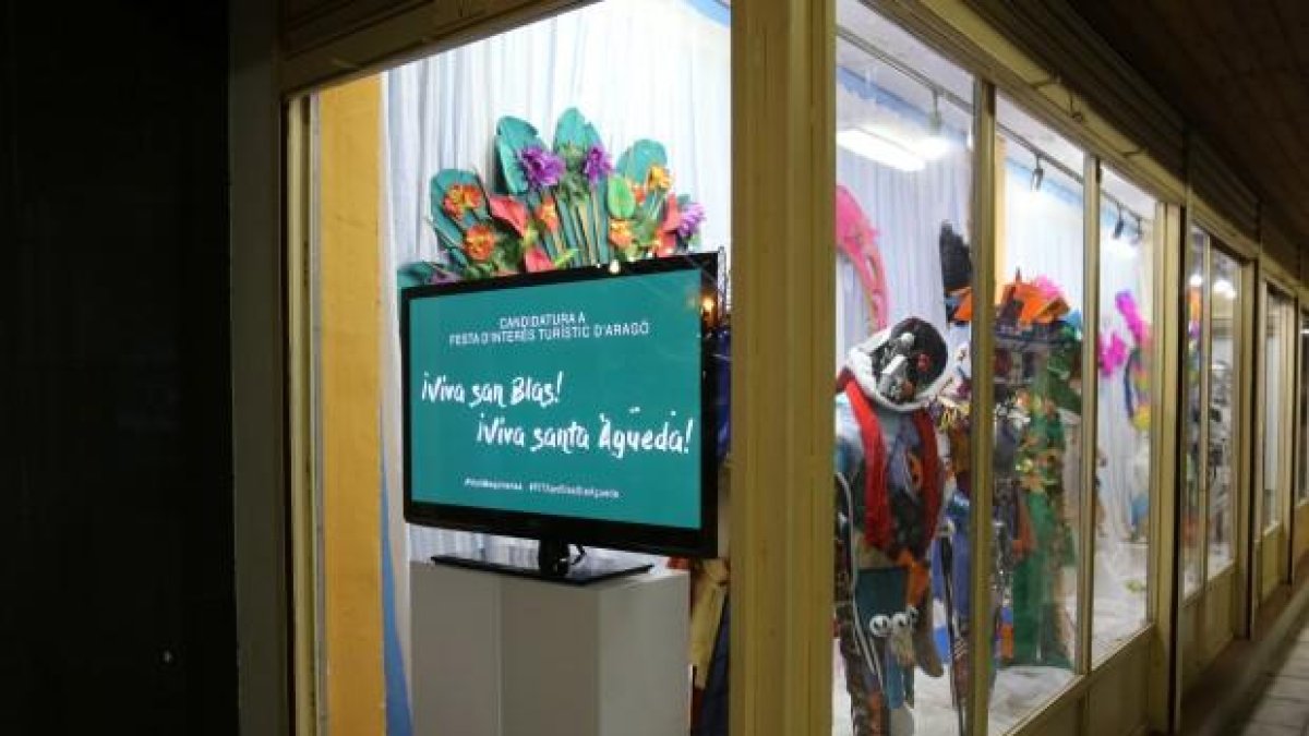 L’exposició als porxos de la plaça de l’Ajuntament.