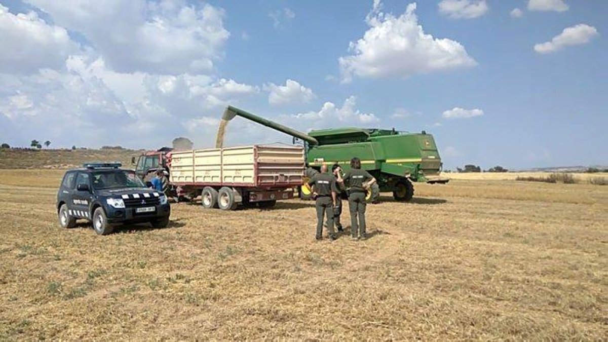 En marxa l'operatiu de vigilància de la campanya de la sega per prevenir incendis