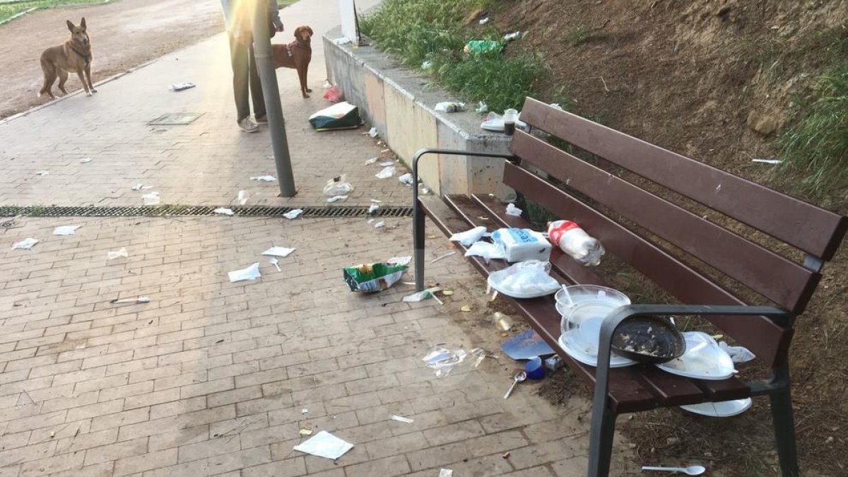 Acumulació de deixalles a Santa Cecília