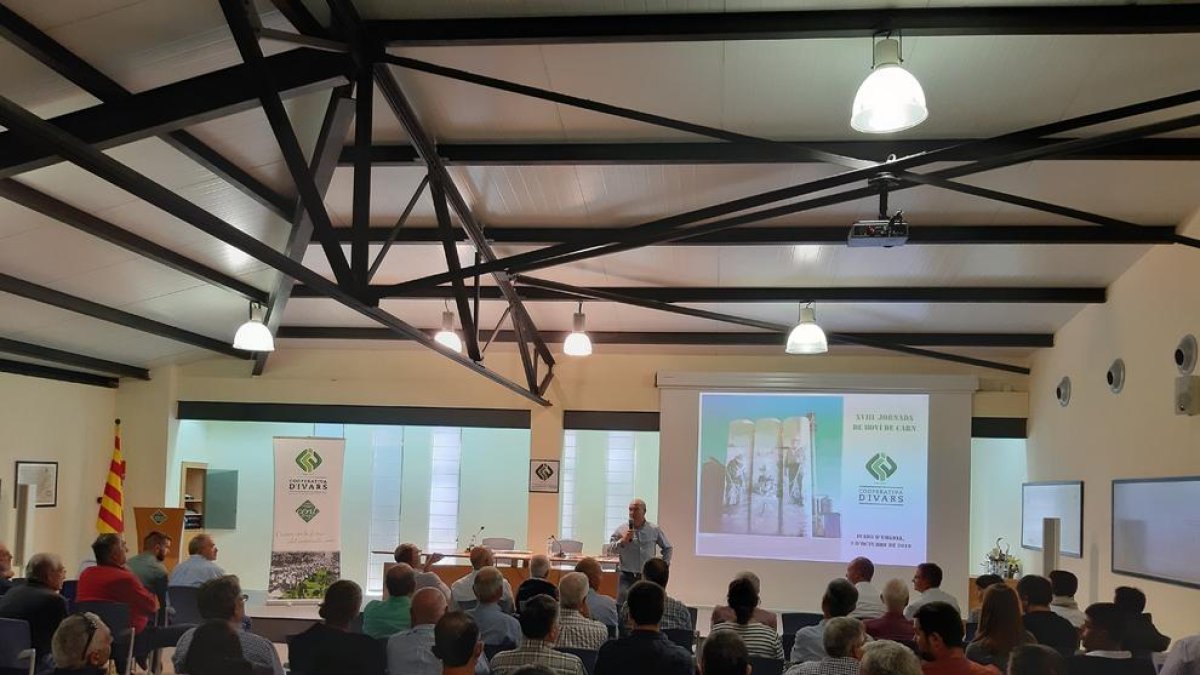 Momento de la jornada celebrada ayer en la cooperativa de Ivars.