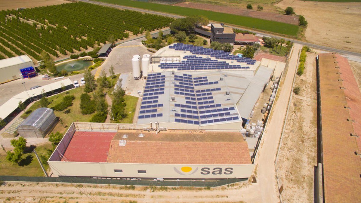 Imagen de la empresa Sustainable Agro Solutions.