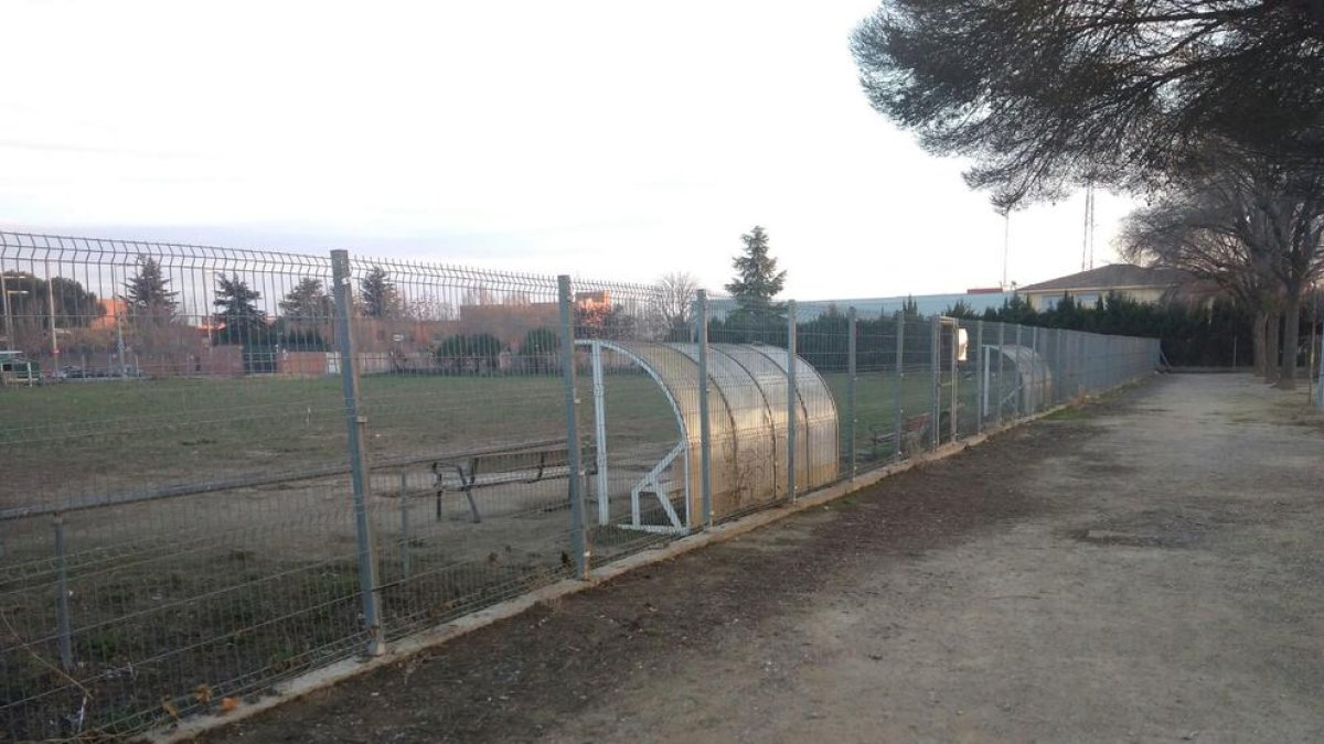 Aspecte deteriorat que presentava ahir el camp de Ciutat Jardí.
