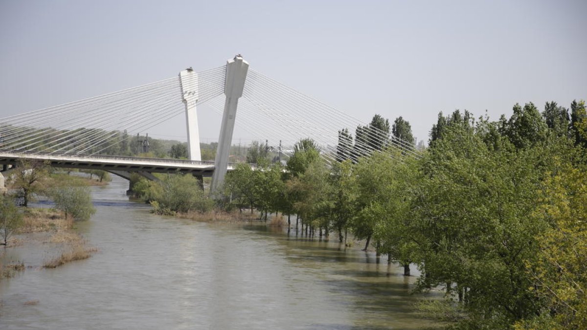 El Segre al seu pas per Lleida portava ahir més 104 metres cúbics per segon.