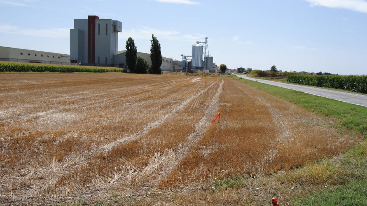 Les primeres obres per reformar la carretera que uneix Bellcaire d’Urgell i Linyola.