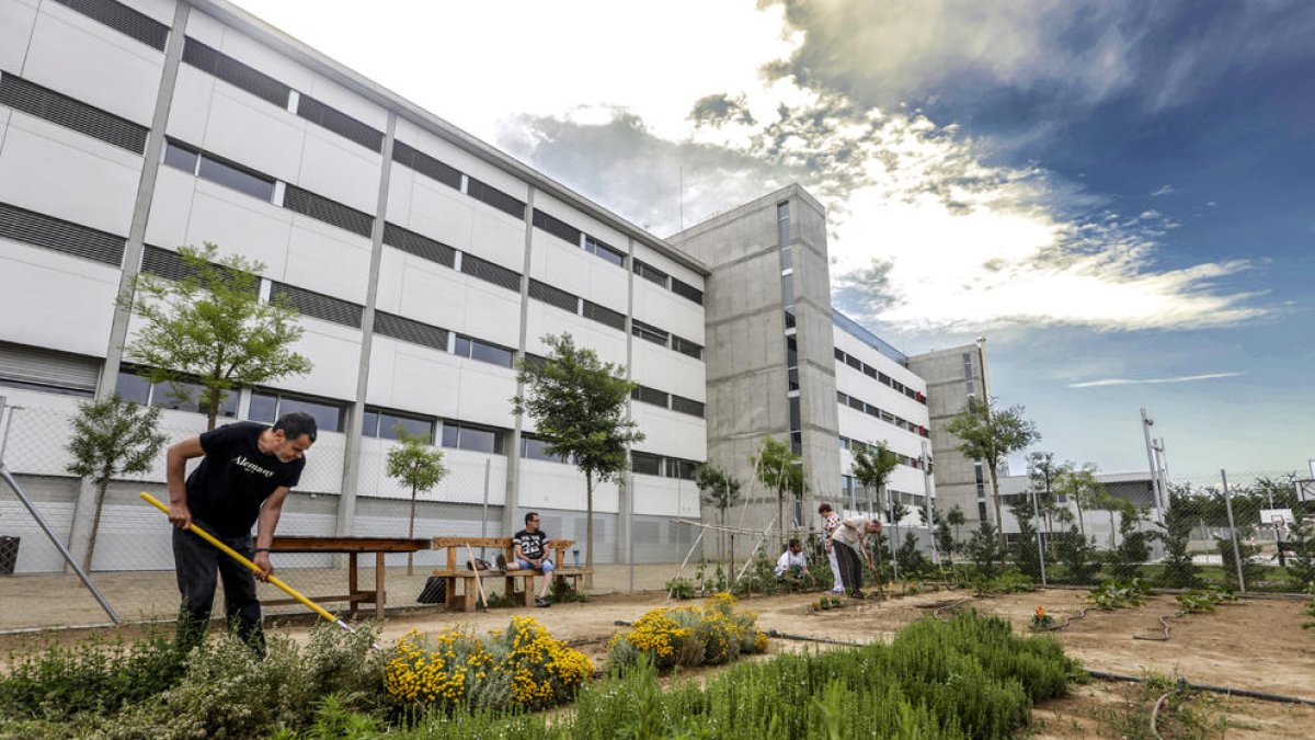 Pacientes y sanitarios trabajan en el huerto del hospital, en Copa d’Or.