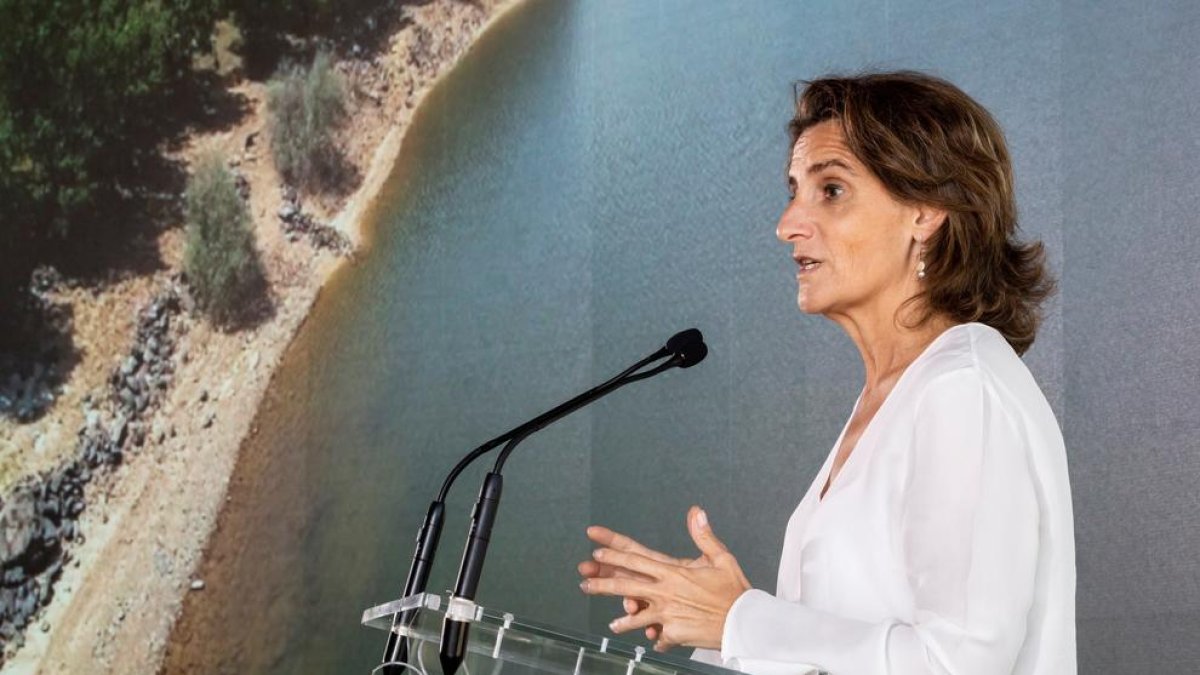 El Govern prohibirà comercialitzar la llum