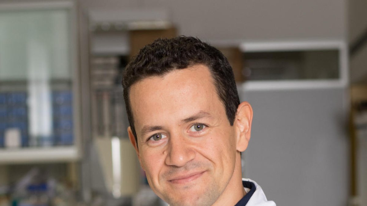 Manuel Sánchez de la Torre, de l’IRBLleida i professor de la UdL.