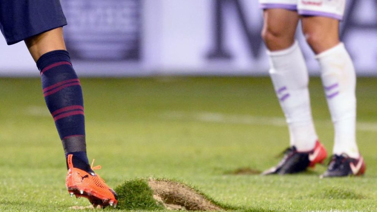 La gespa del Nuevo José Zorrilla presentava un estat lamentable.