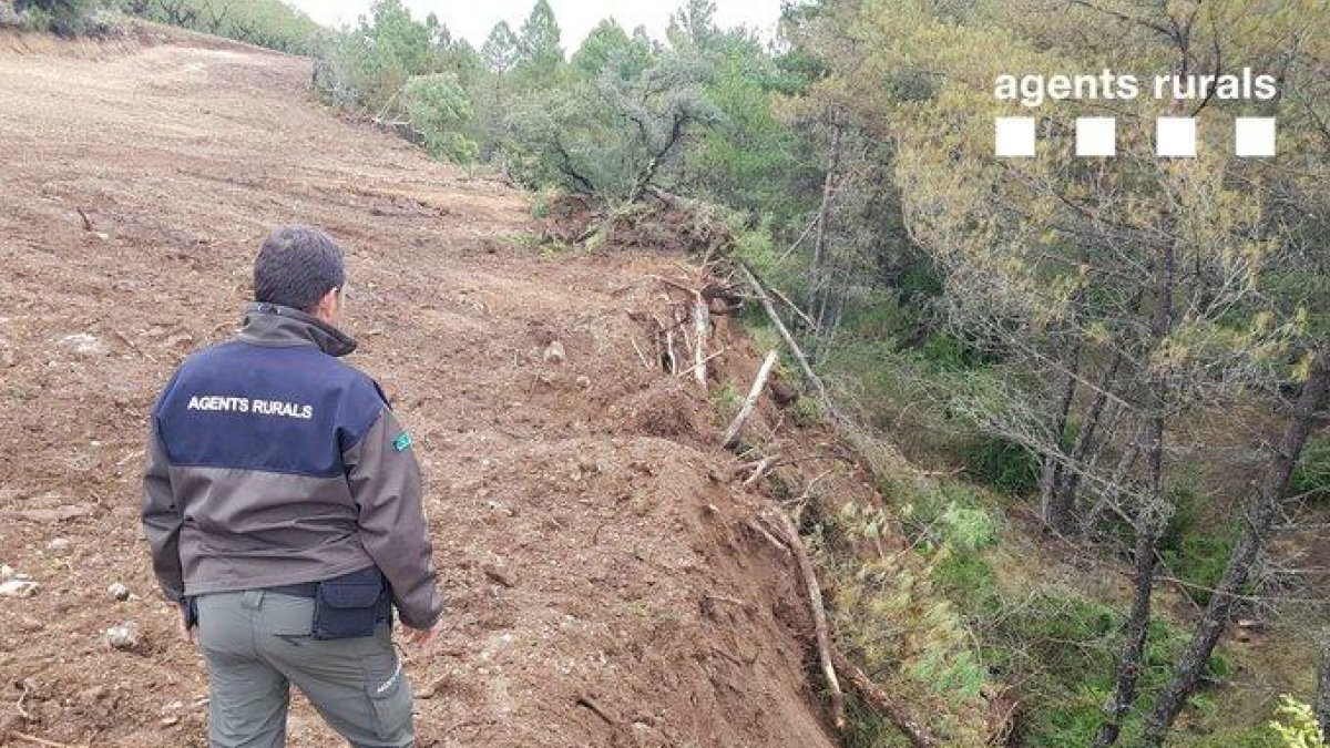 Imatge d’un rural a la zona de la rompuda al terme d’Abella de la Conca.