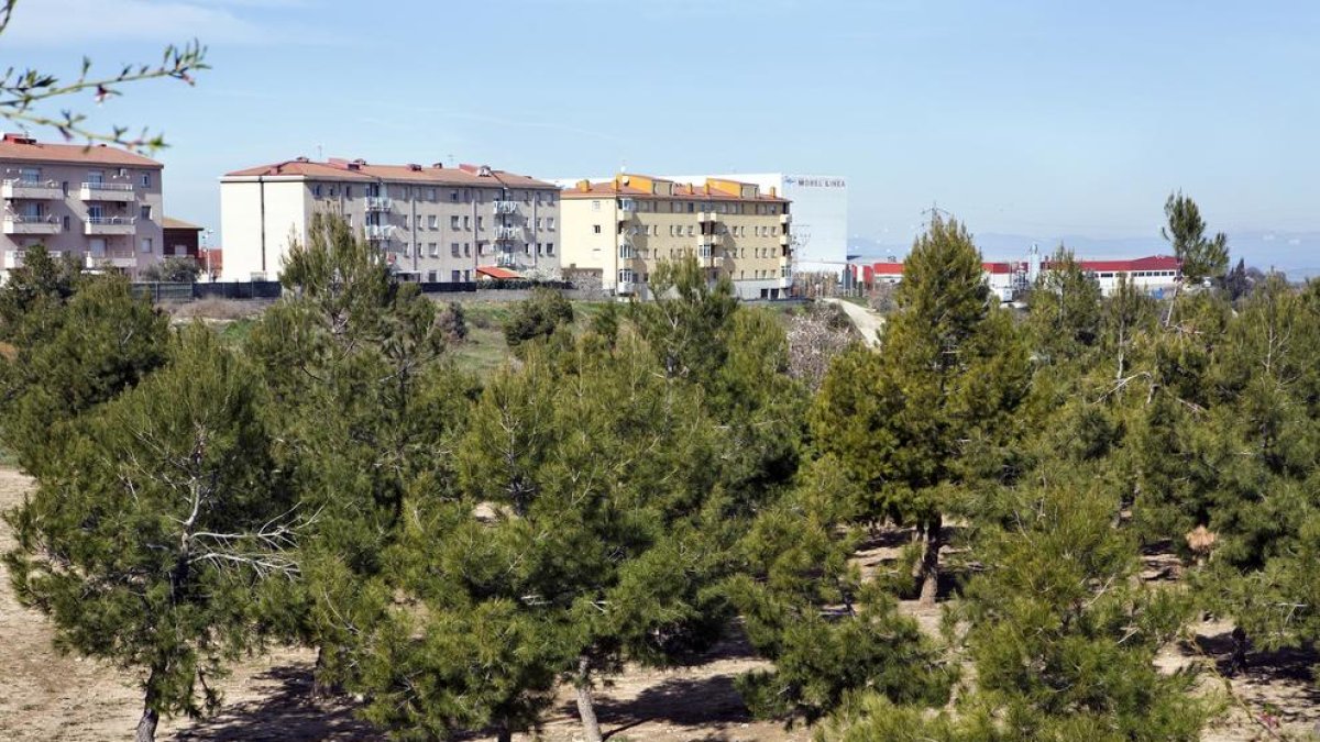 El parque está situado en la zona de crecimiento de la ciudad.