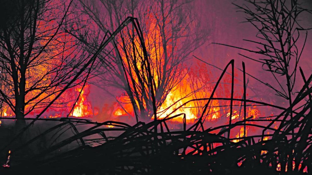 El incendio pudo verse desde buena parte del barrio de Cappont.