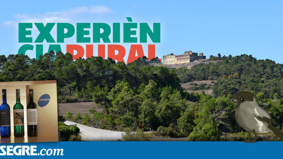 Capítol 11: Oli, vi, aigua i fe