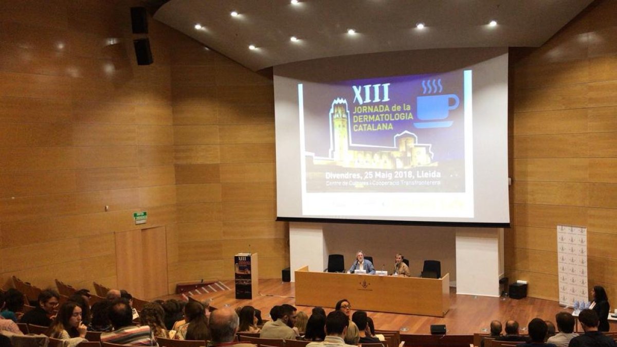 La jornada reunió ayer en Cappont a un centenar de profesionales.