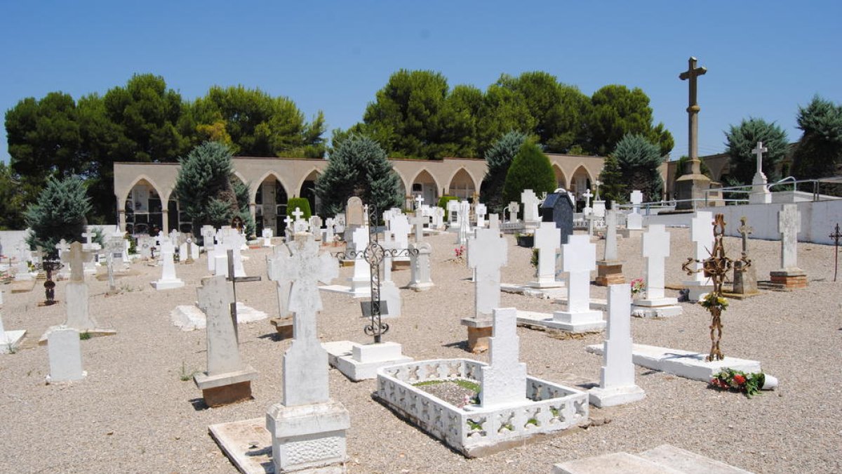 Imagen del cementerio de Miralcamp.