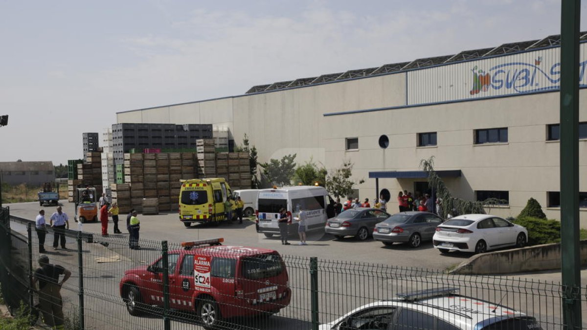 Una desena d'afectats per inhalar amoníac en una fuita en una empresa de Torre-serona