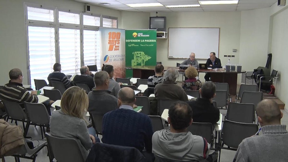 Imagen de la jornada que se celebró ayer en Bellcaire d’Urgell.