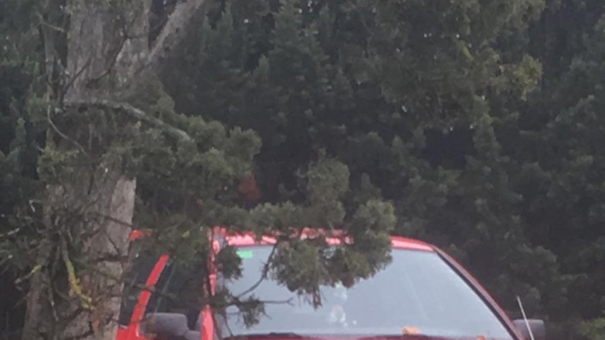 Escombraries i un cotxe abandonat a Gardeny