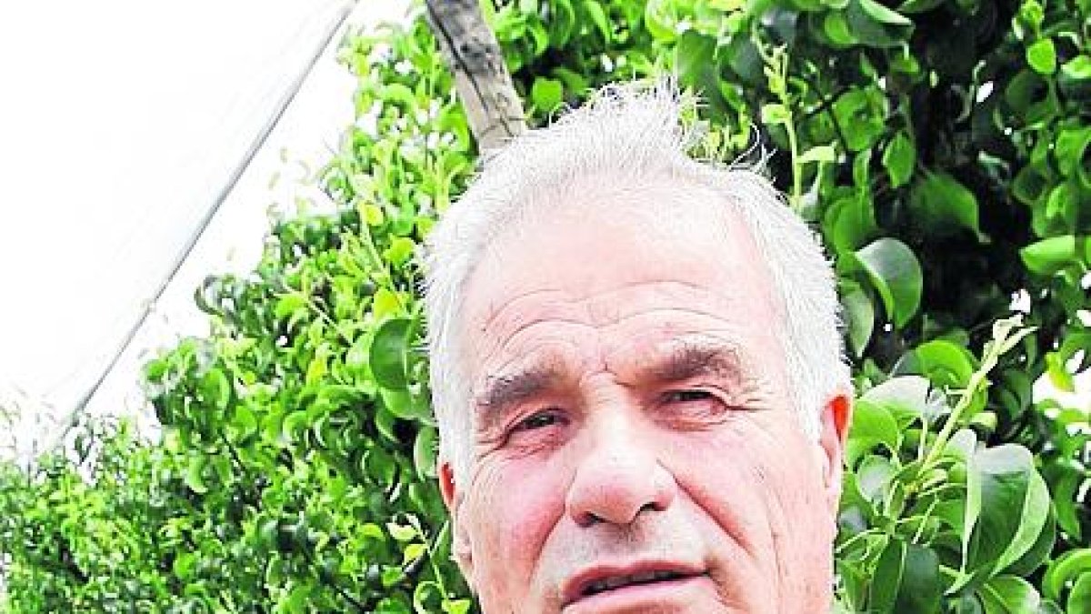 Campanya fruitera 2018