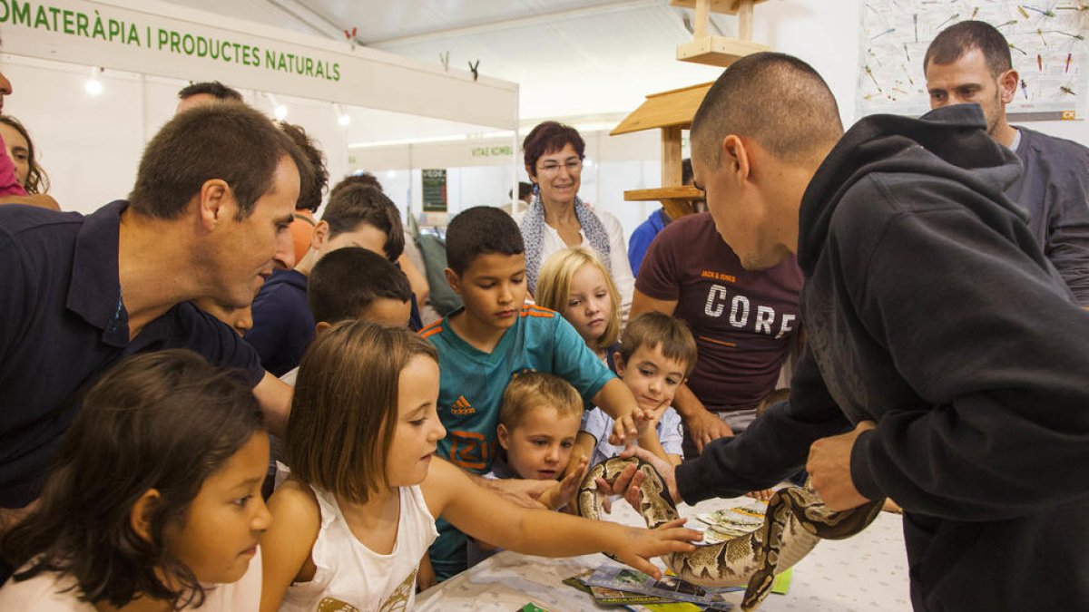 La Fira del Medi Ambient convierte Tàrrega en la capital de la ecología