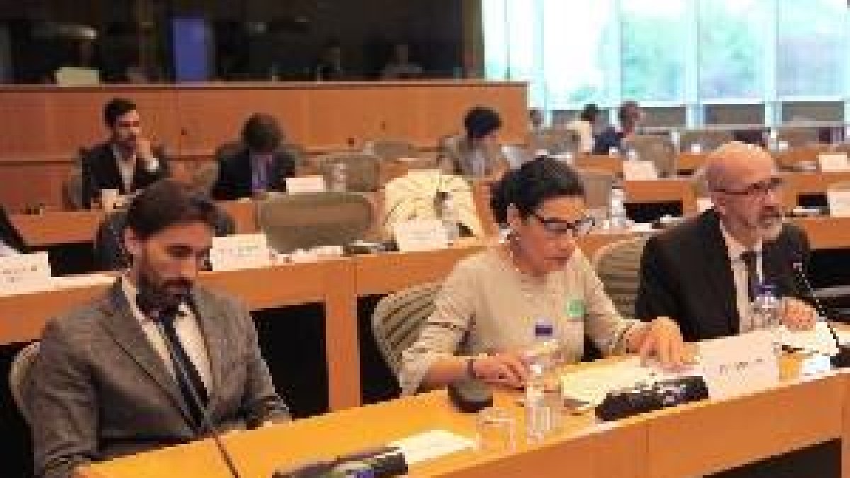 Denuncien en Parlament Europeu discriminació lingüística a Catalunya