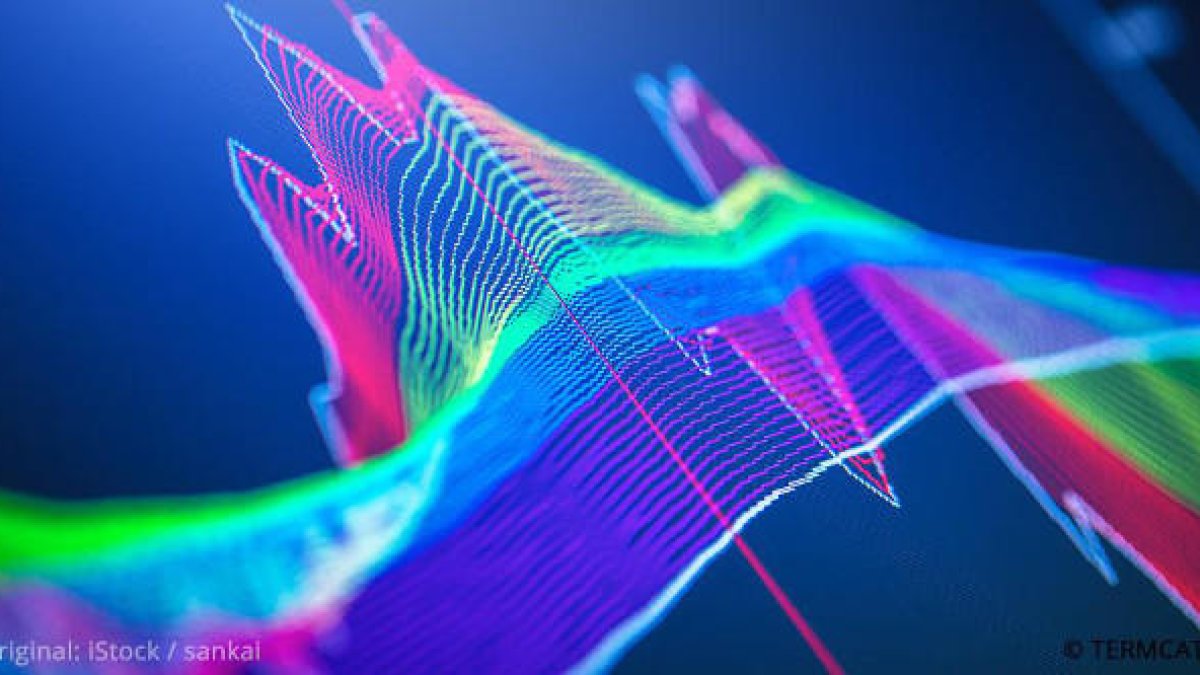 La llengua catalana incorpora 510 nous termes