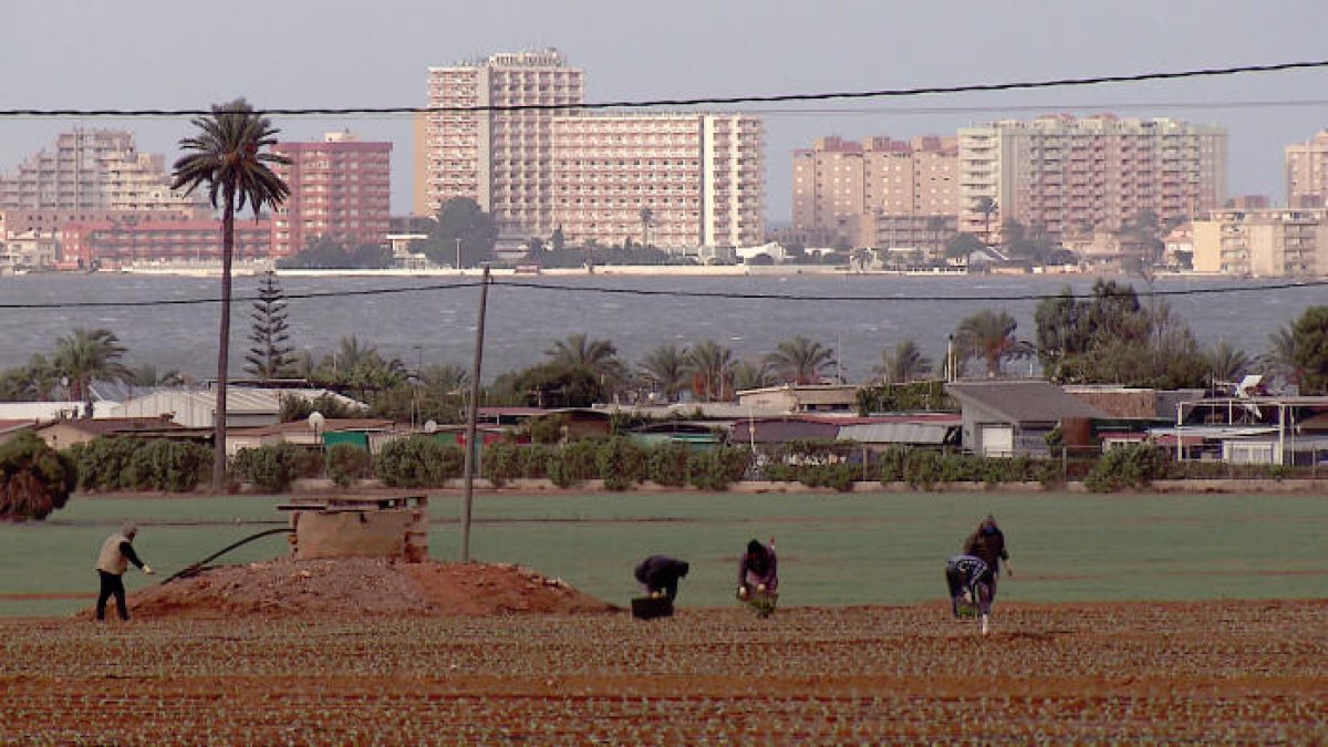 Agricultura y construcción presionan enormemente al Mar Menor.