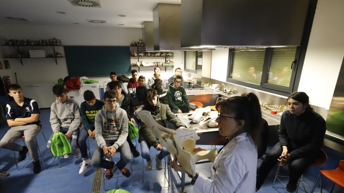 Titulacions de la UdL sense estereotips de gènere