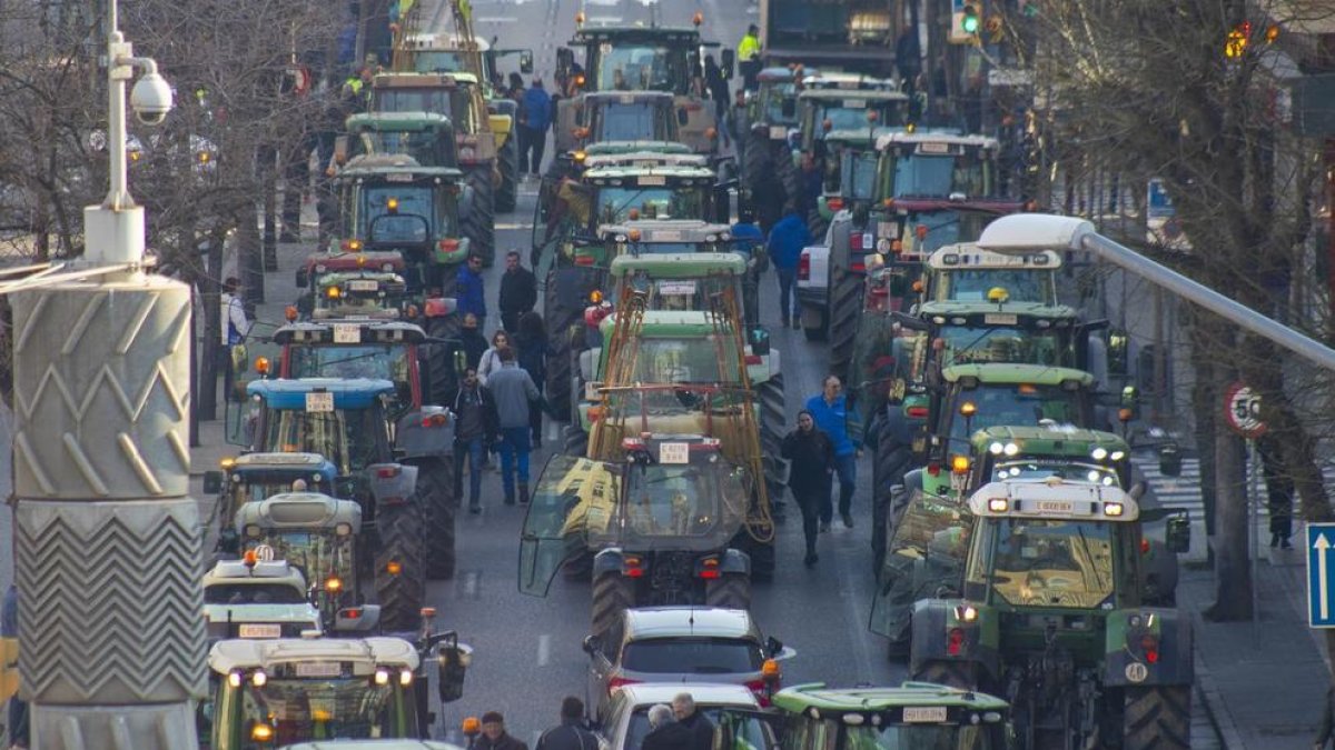 Tractorada contra la plaga de conills a Lleida