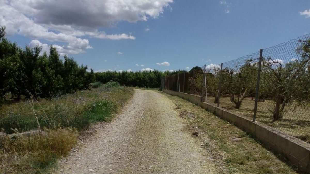 El camí lateral de Giraba, un dels que s’han millorat.