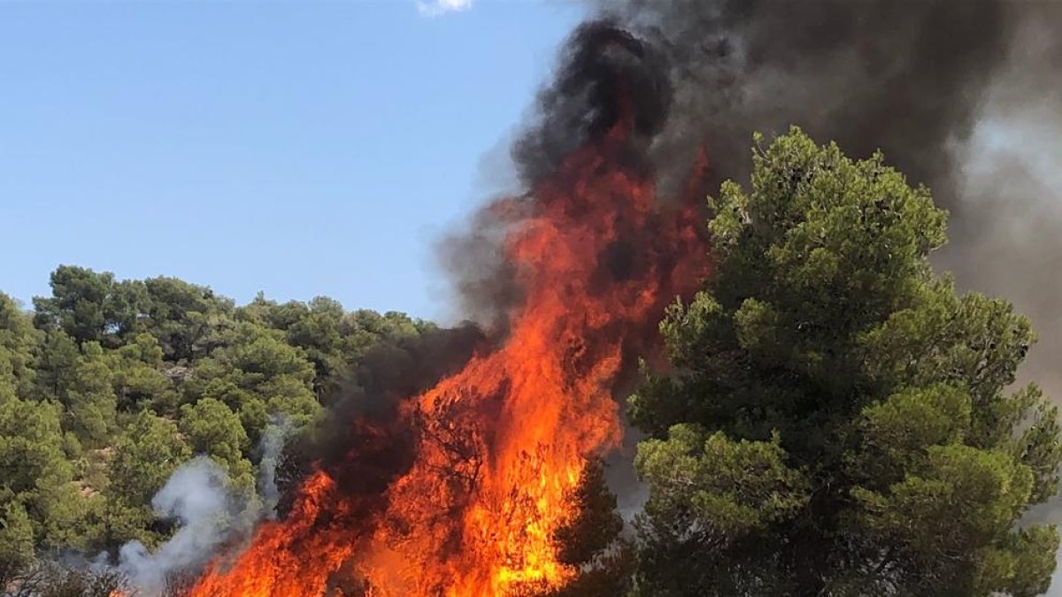 Incendio en Juncosa por una quema agrícola no autorizada