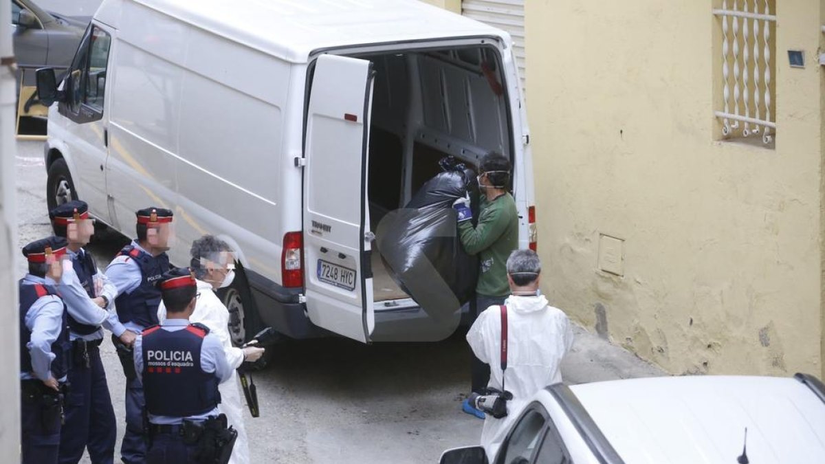 Troben centenars de plantes de 'maria' a la casa assaltada a Aitona