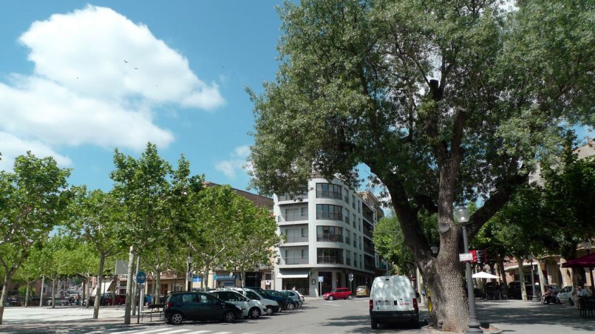 Solsona aplicará el puerta a puerta el próximo año.