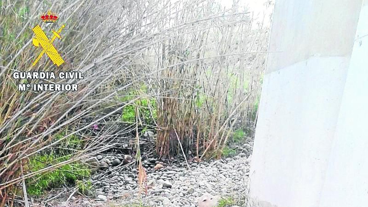 Roban 184 corderos en el Baix Cinca