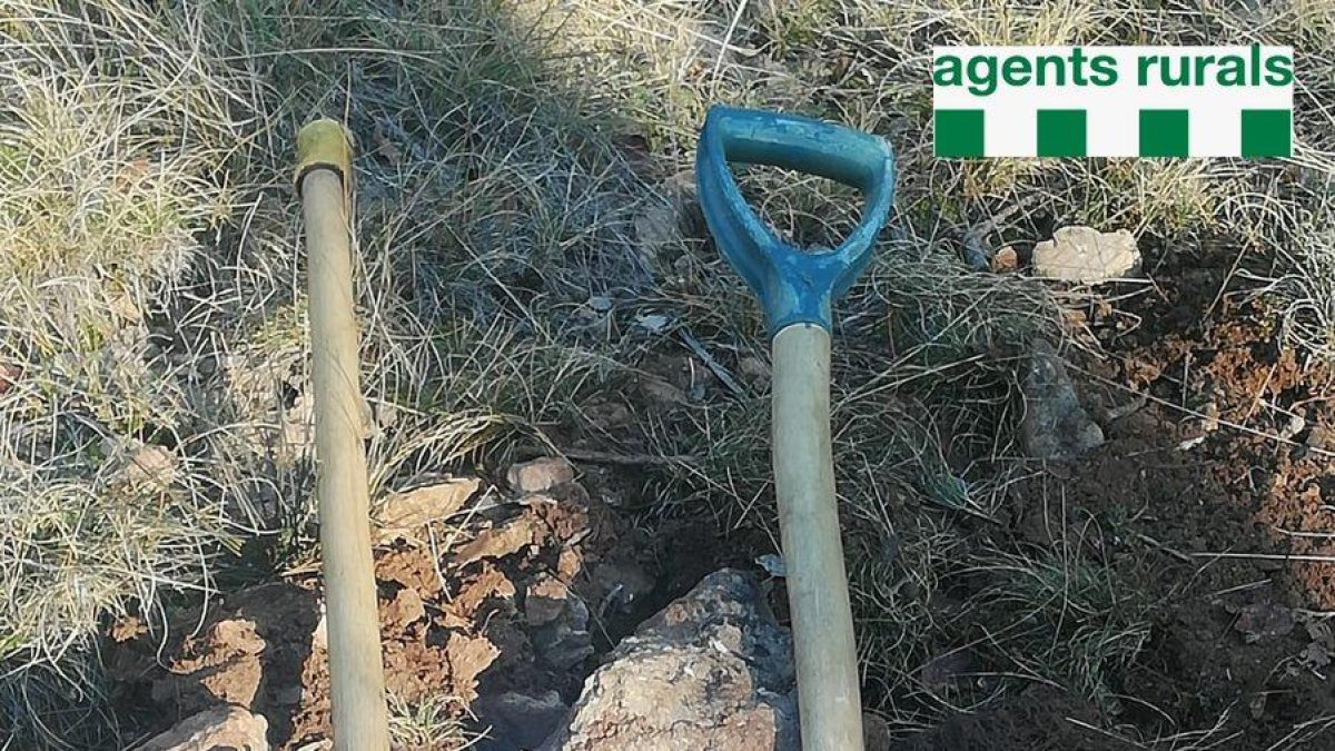 Las trufas y las herramientas ilegales intervenidas por Rurales.