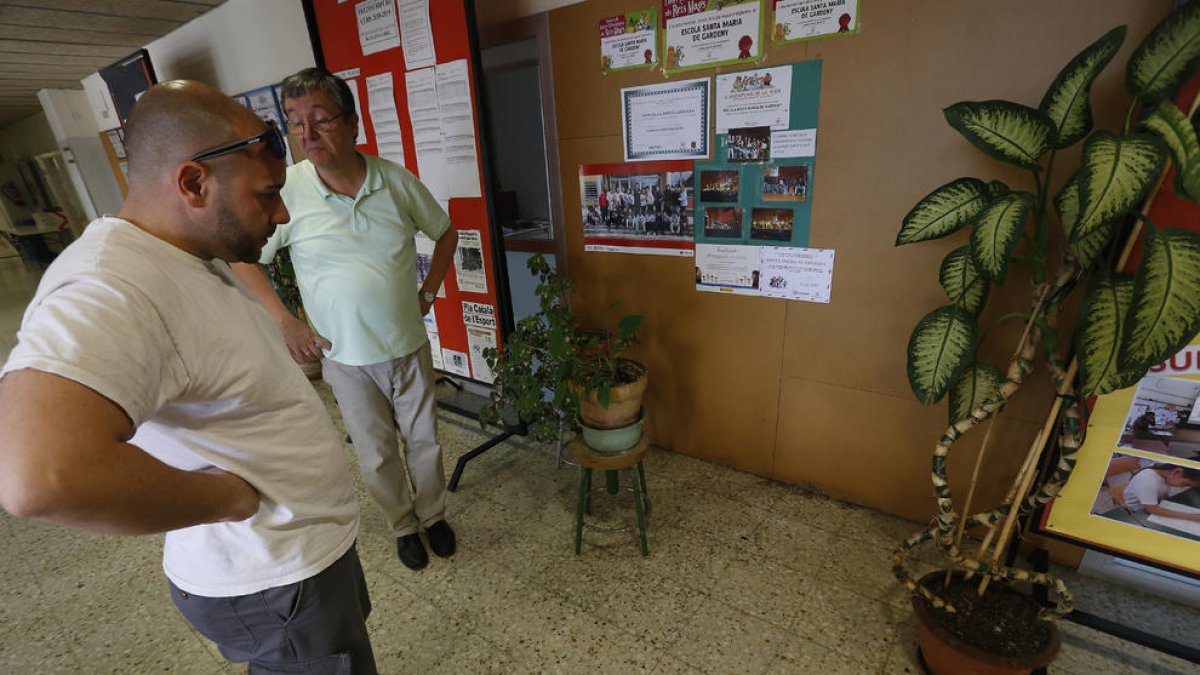 La colònia de tèrmits va aparèixer ahir al migdia en aquests plafons que hi ha a la zona de despatxos dels professors.