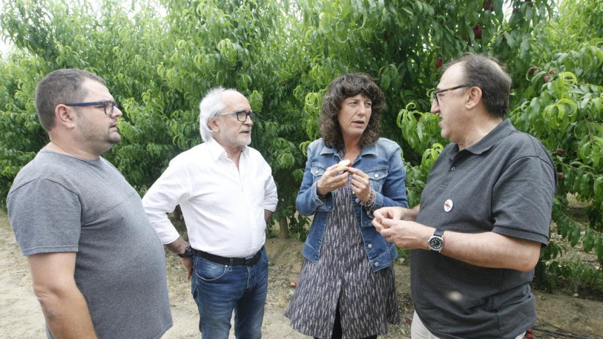 La consellera Jordà va visitar ahir un camp de platerina a Seròs.
