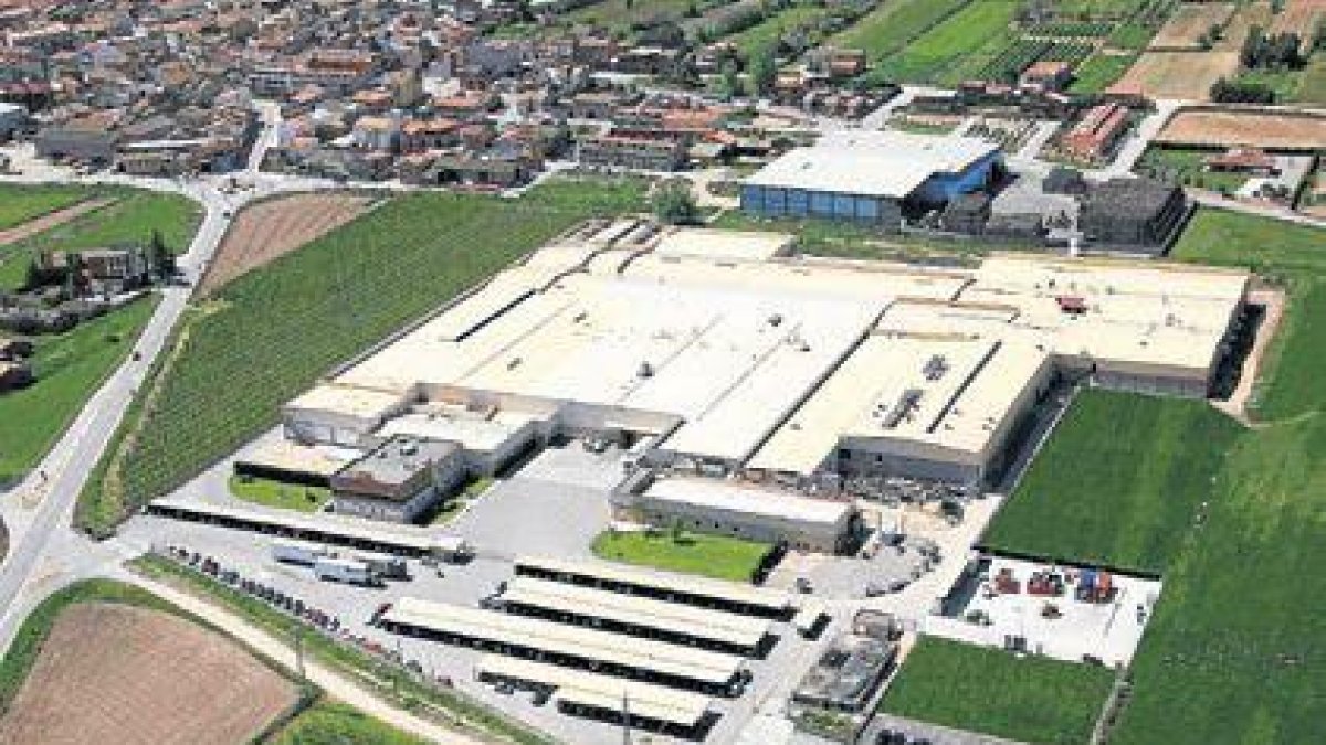 El grup Argal voreja els 319 milions en facturació al créixer un 4,5%